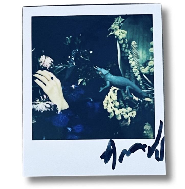 簽名版荒木經惟寶麗來ポラロイド拍立得polaroid 荒木経惟Nobuyoshi Araki, 興趣及遊戲, 收藏品及紀念品, 日本明星-  Carousell