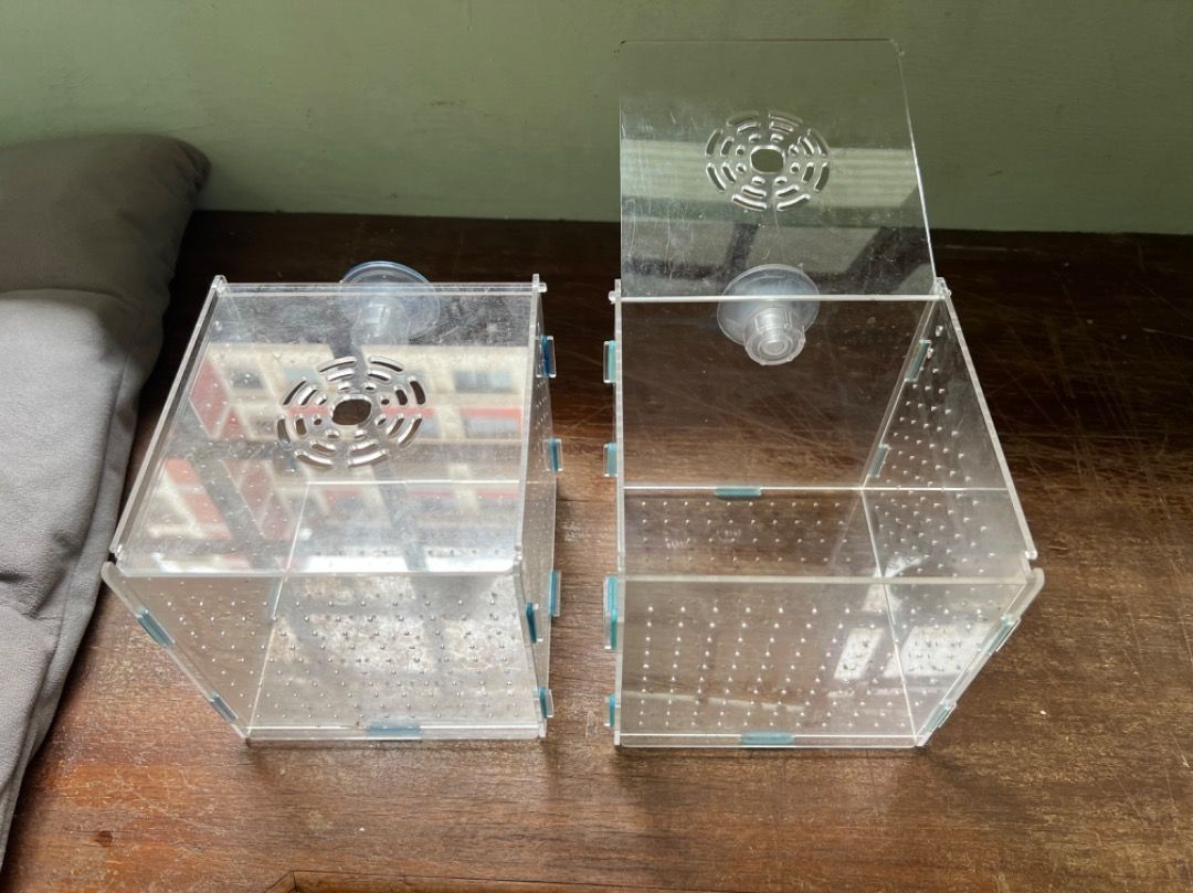 breeding box / isolation box, Pet Supplies, Homes & Other Pet ...