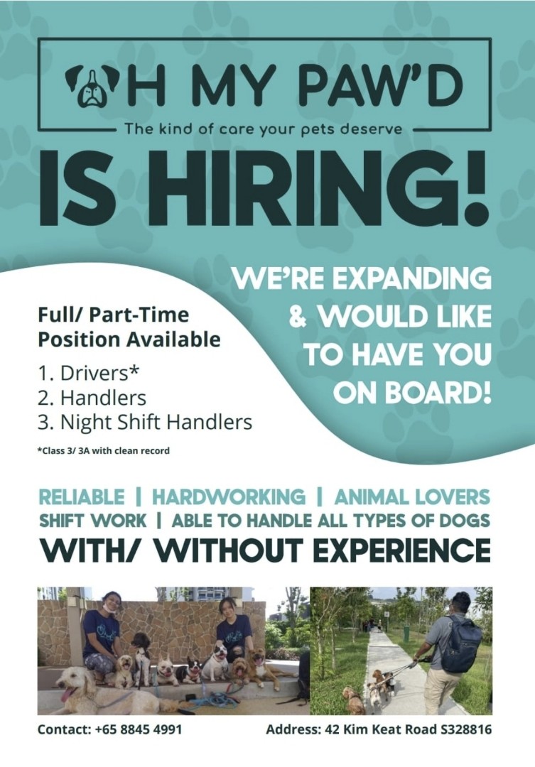 Hiring Dog Handlers & Drivers, Jobs, Internships & Others on Carousell