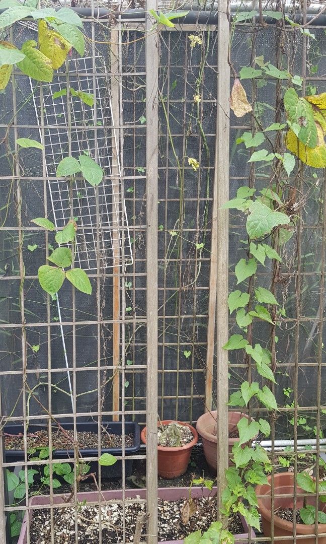 Outdoor Shelving, tables for pickup immediately., Furniture & Home