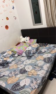 Queen Size Bed Frame with Mattress