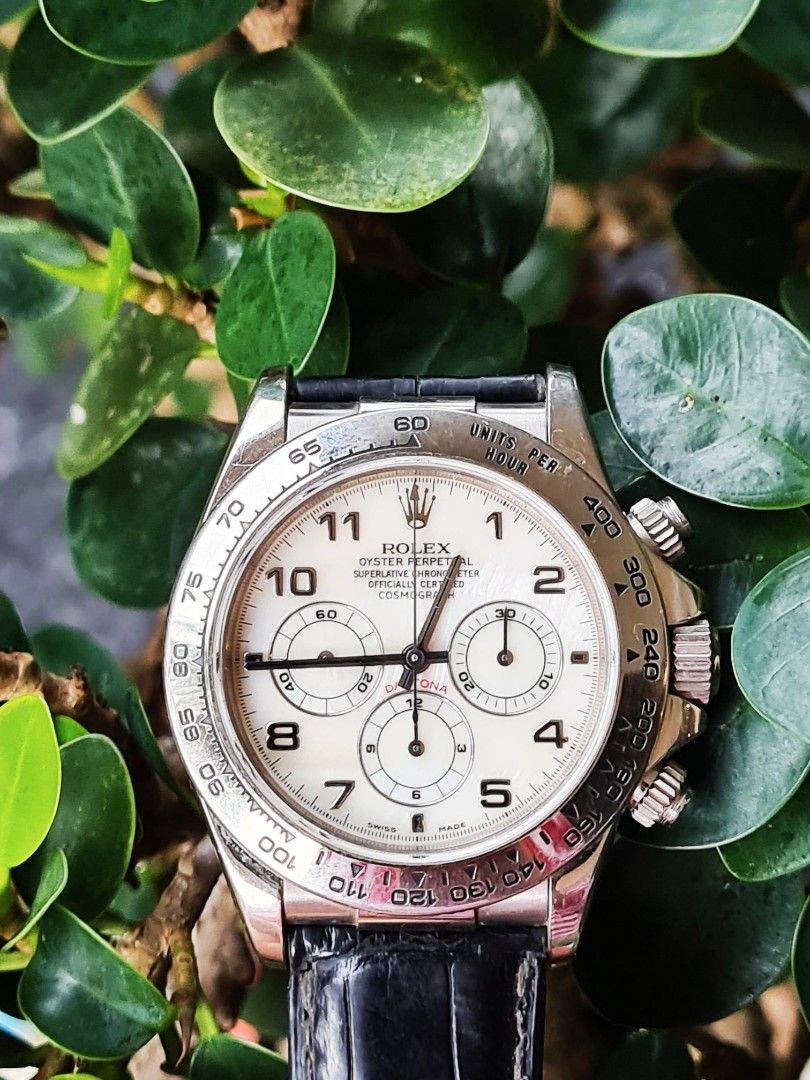 Rolex 16519 sales