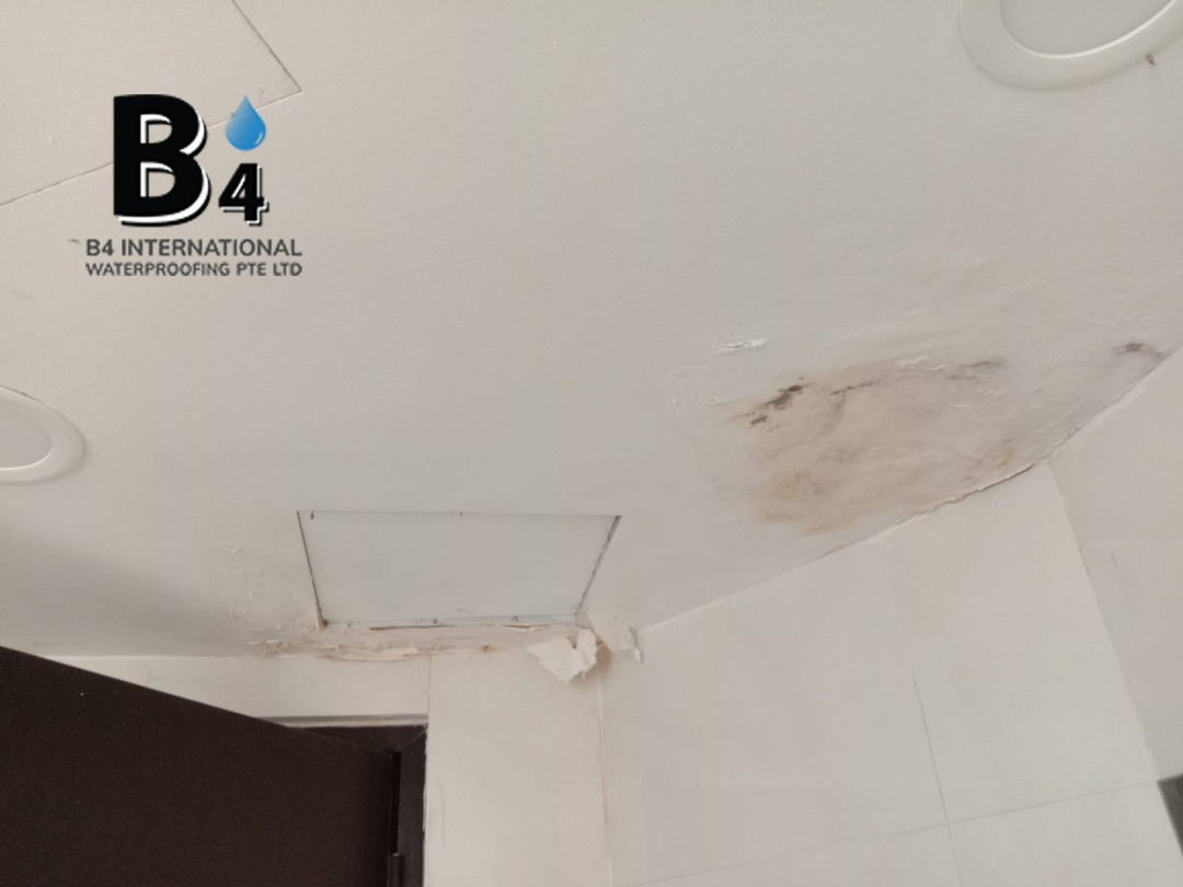 Waterproofing / Water Leakages / Toilet Leakage / Pitch Roof