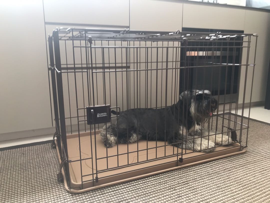 Dog crate expensive brand, Pet Supplies, Homes & Other Pet