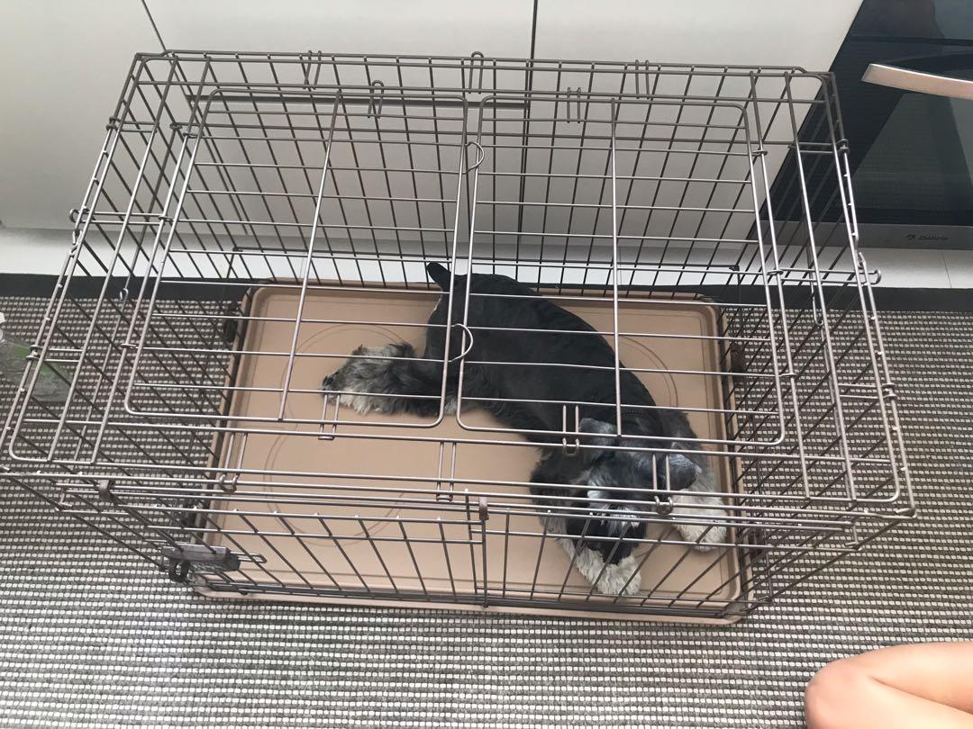 Dog crate expensive brand, Pet Supplies, Homes & Other Pet