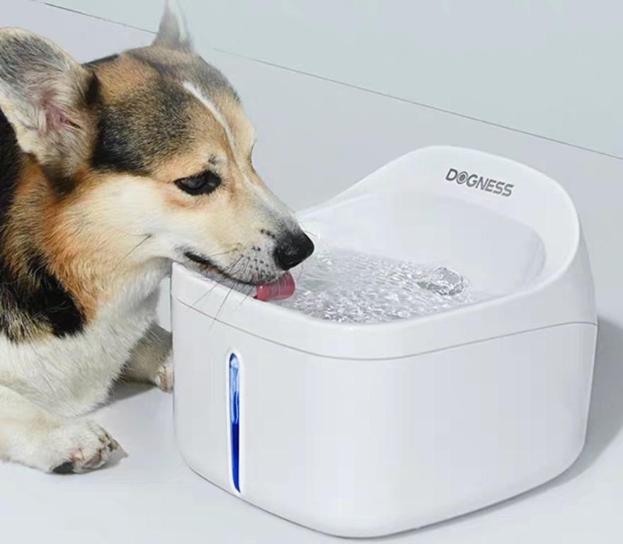 Electric water bowl clearance
