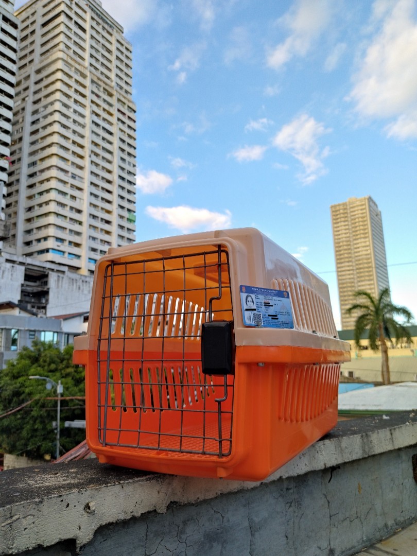 Pet Carrier Medium Size 24 x 14 x 12.5 in, Pet Supplies, Homes