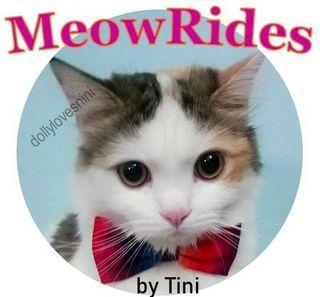 Transportation for CATS
