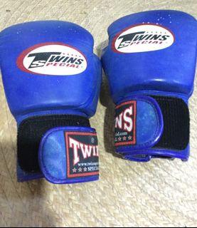 Twins special boxing gloves