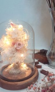 (Category: ) located in . Submitted by win_florist (Listing ID 1141018276, Image 1). Description: .