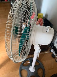 (Category: ) located in . Submitted by glace21 (Listing ID 1141028876, Image 1). Description: .