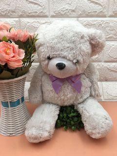 13" Cute White Teddy Bear