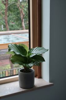 （分類：）位於 。 由 shuman96 提交（商品編號 1142842416，圖片 1）。簡介： 。