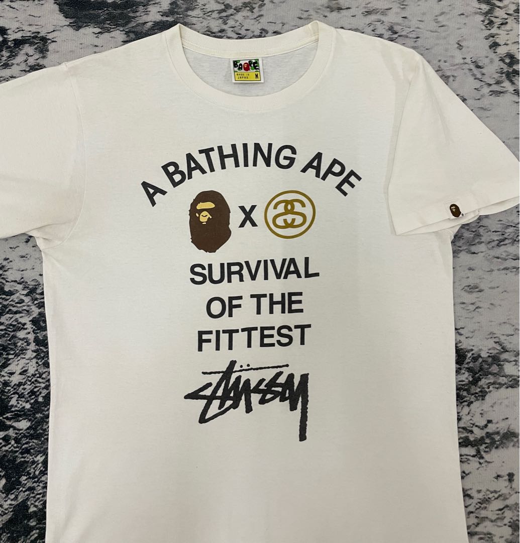 Bape x stussy survival of the fittest store