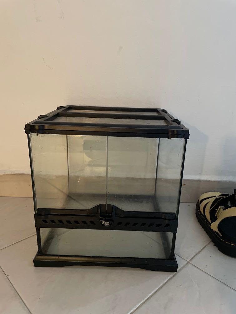 Exo terra terrarium cube, Pet Supplies, Homes & Other Pet Accessories