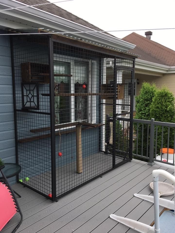 Outdoor Design Cat House Special Custom