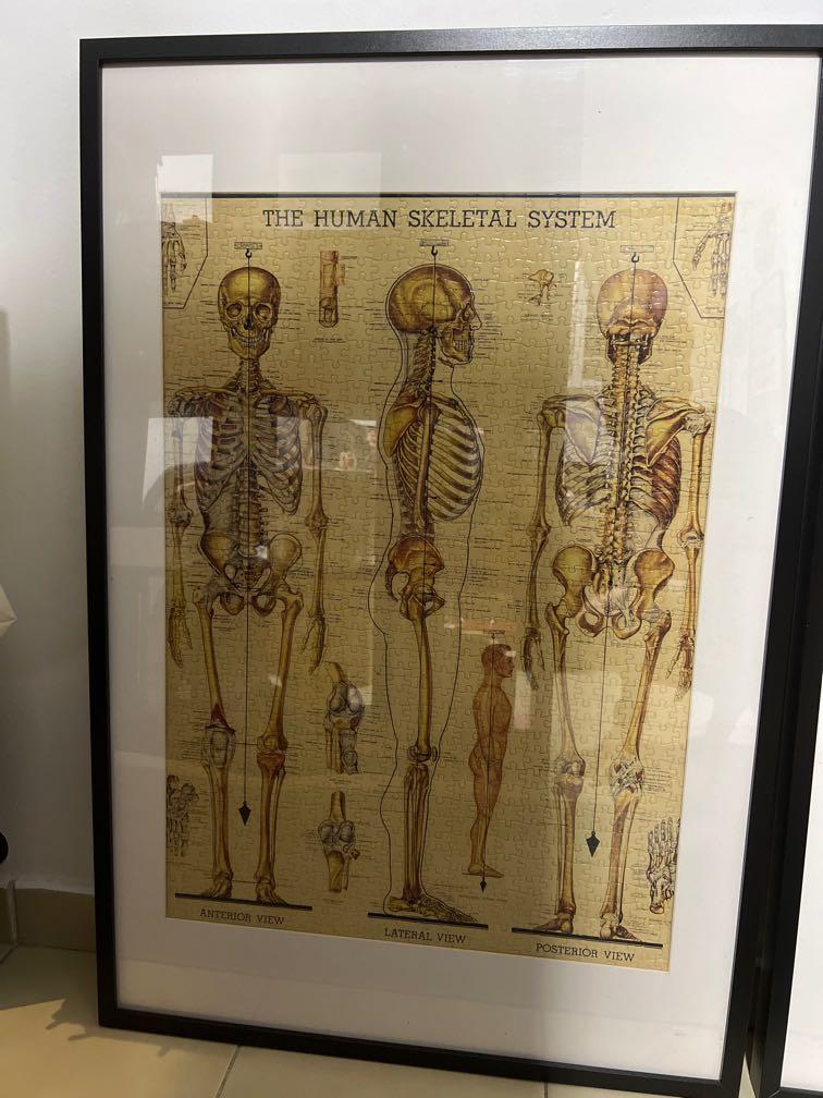 1000 piece puzzle with ikea frame, Hobbies & Toys, Stationery & Craft