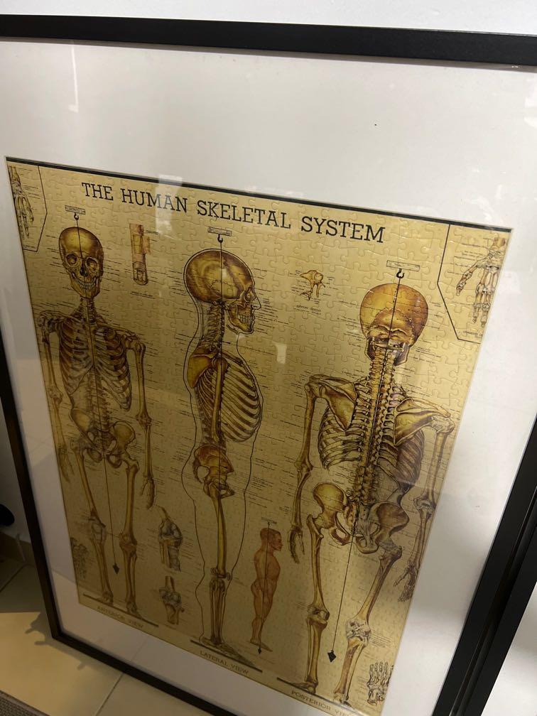 1000 piece puzzle with ikea frame, Hobbies & Toys, Stationery & Craft