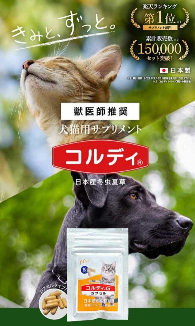 訂購 日本直送冬蟲夏草貓用保健品老貓腎病16粒腎臟保護皮下水 白貓館 寵物用品 寵物衣服 Carousell