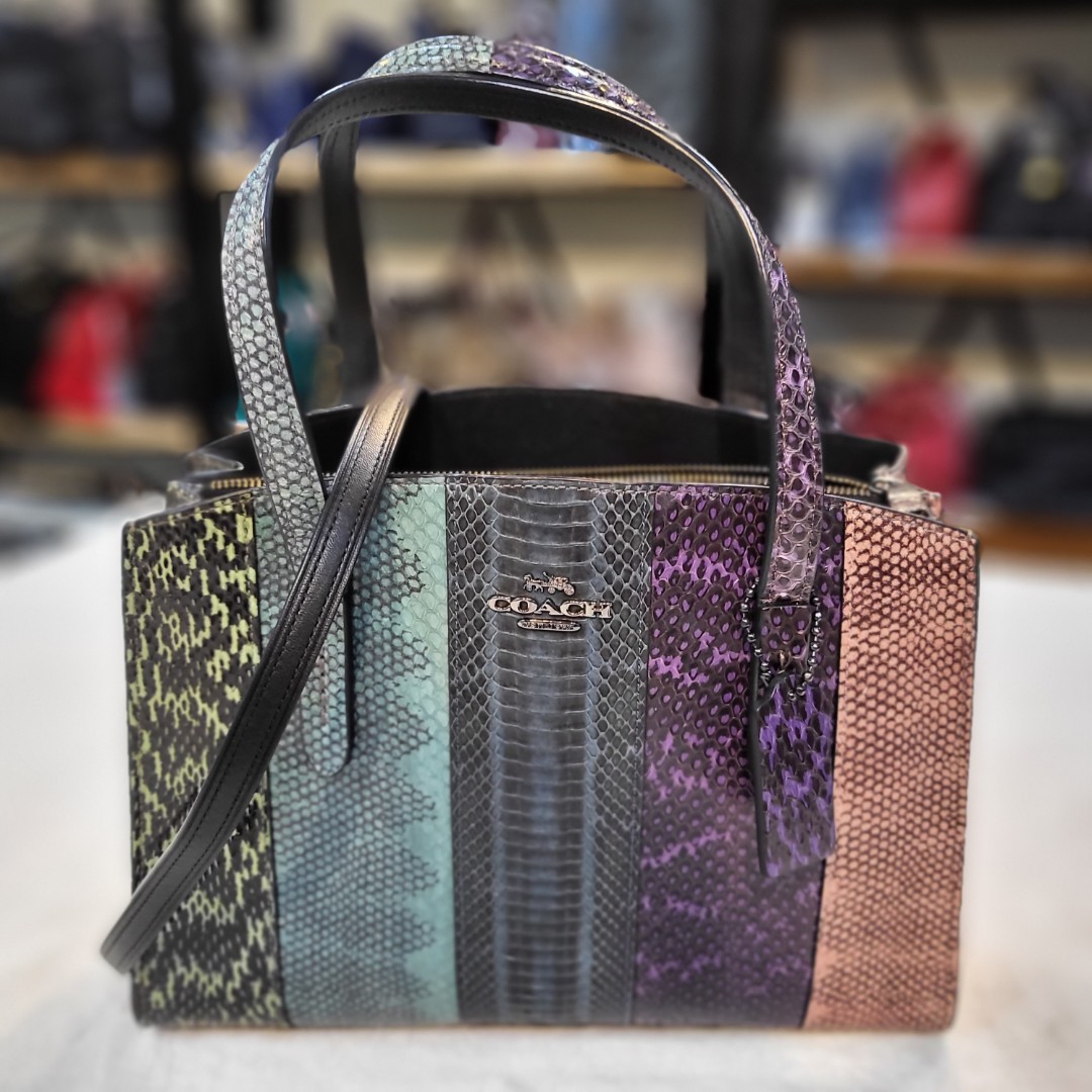 coach bag charlie carryall