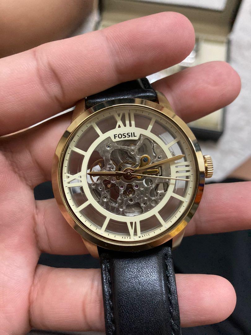 Fossil new arrivals townsman skeleton