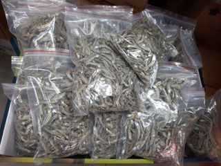 （分類：）位於 。 由 mikimou 提交（商品編號 1142981717，圖片 1）。簡介： 。