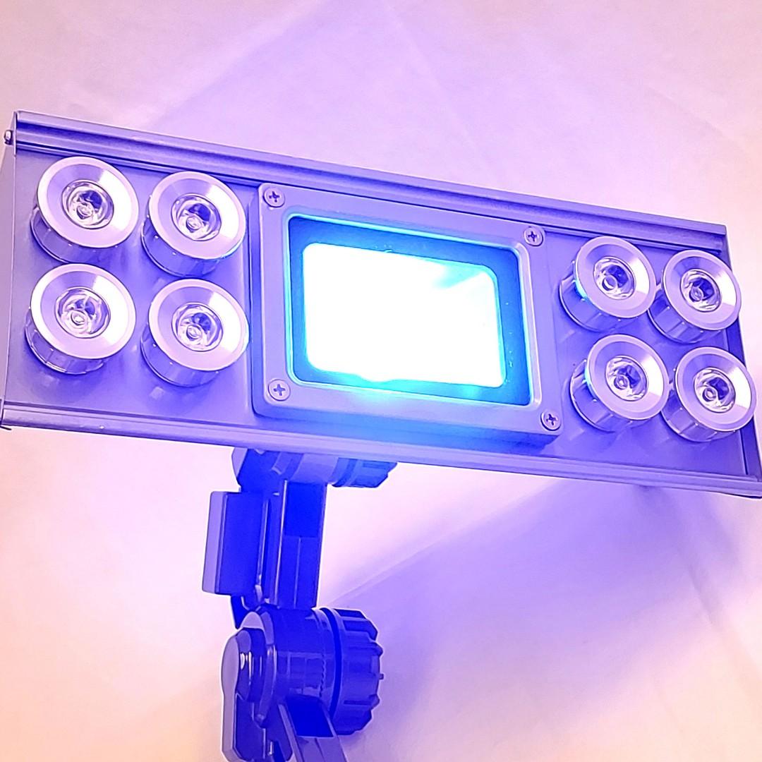 Led燈藍燈白燈海水魚水族魚缸燈珊瑚燈aquarium Led 夾燈 寵物用品 寵物家品及其他 Carousell Led燈藍燈白燈海水魚水族魚缸燈珊瑚燈aquarium Led 夾燈 寵物用品 寵物家品及其他 Carousell