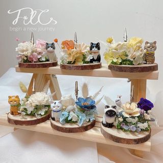 （分類：）位於 。 由 filcs.flower 提交（商品編號 1143026174，圖片 1）。簡介： 。