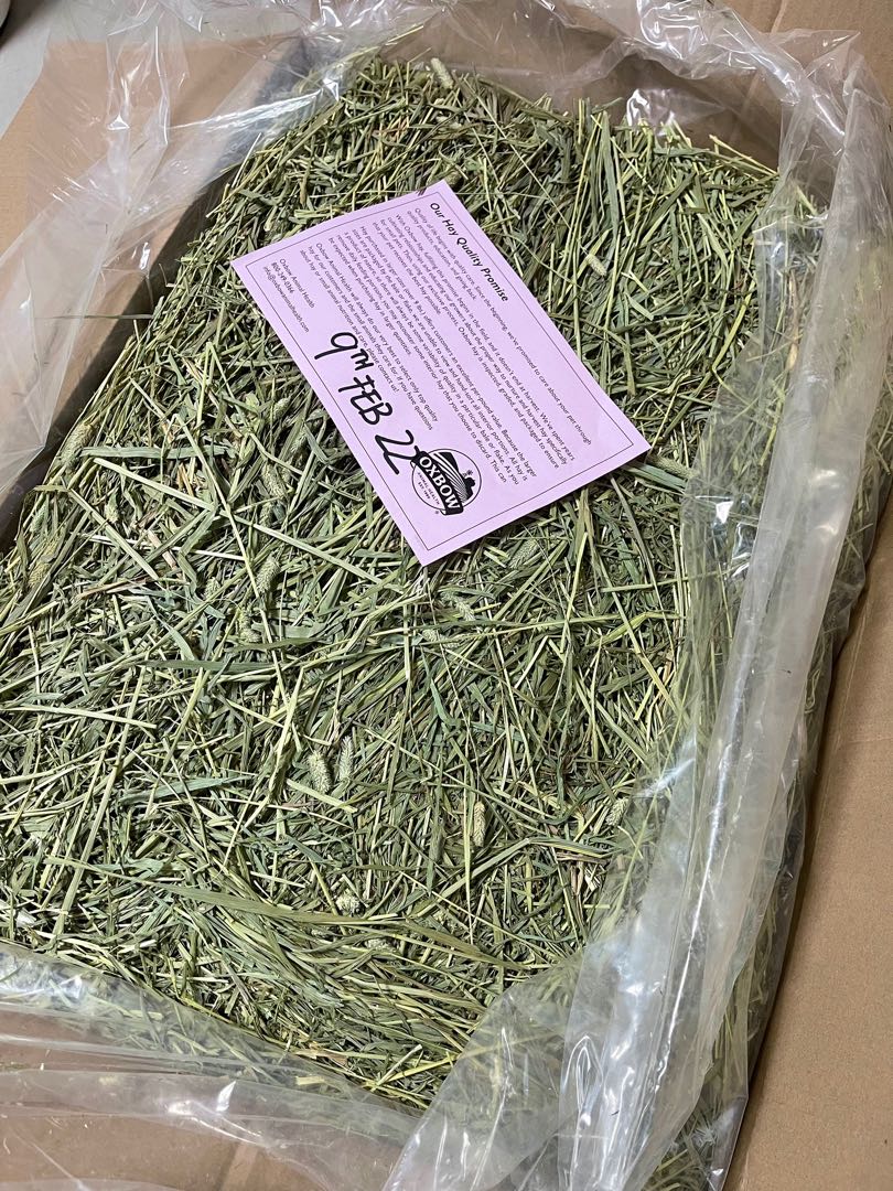 Oxbow Western Timothy Hay for rabbit, chinchilla, guinea pig, hamster