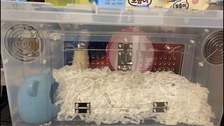 （分類：）位於 。 由 thomasli711 提交（商品編號 1143146382，圖片 1）。簡介： 。