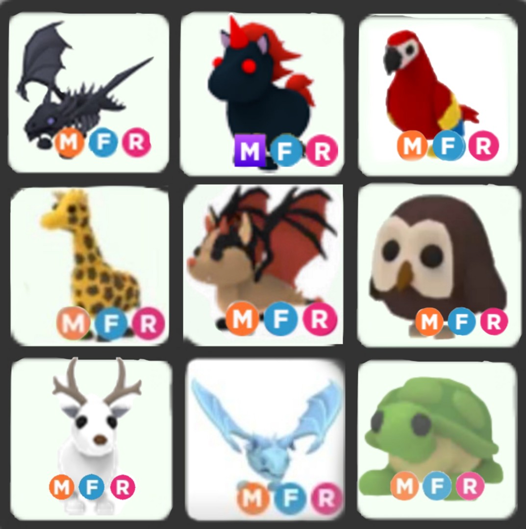 Adopt me rare pets!, Video Gaming, Gaming Accessories, In-Game Products ...