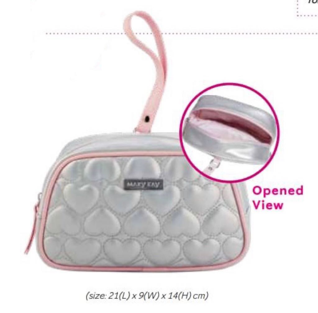 Authentic Mary Kay Clinical Solutions Silver Pink Pouch