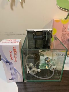 （分類：）位於 。 由 pigpig88 提交（商品編號 1143262478，圖片 1）。簡介： 。