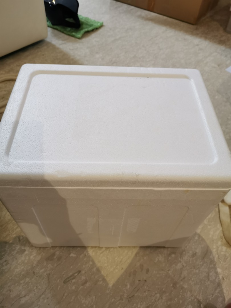 Free styrofoam ice box, Everything Else on Carousell