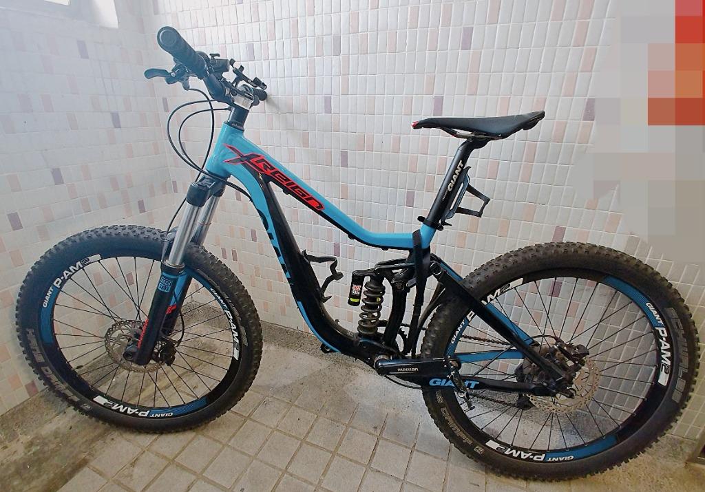 Giant reign aluxx sl fluidform clearance