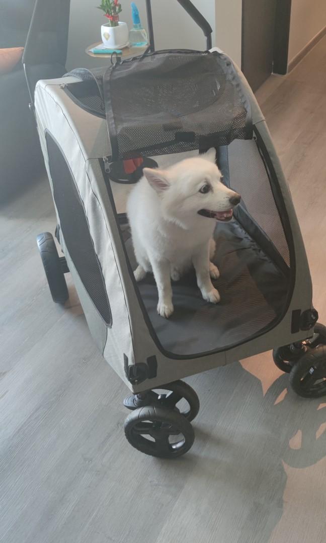 Big dog wagon online