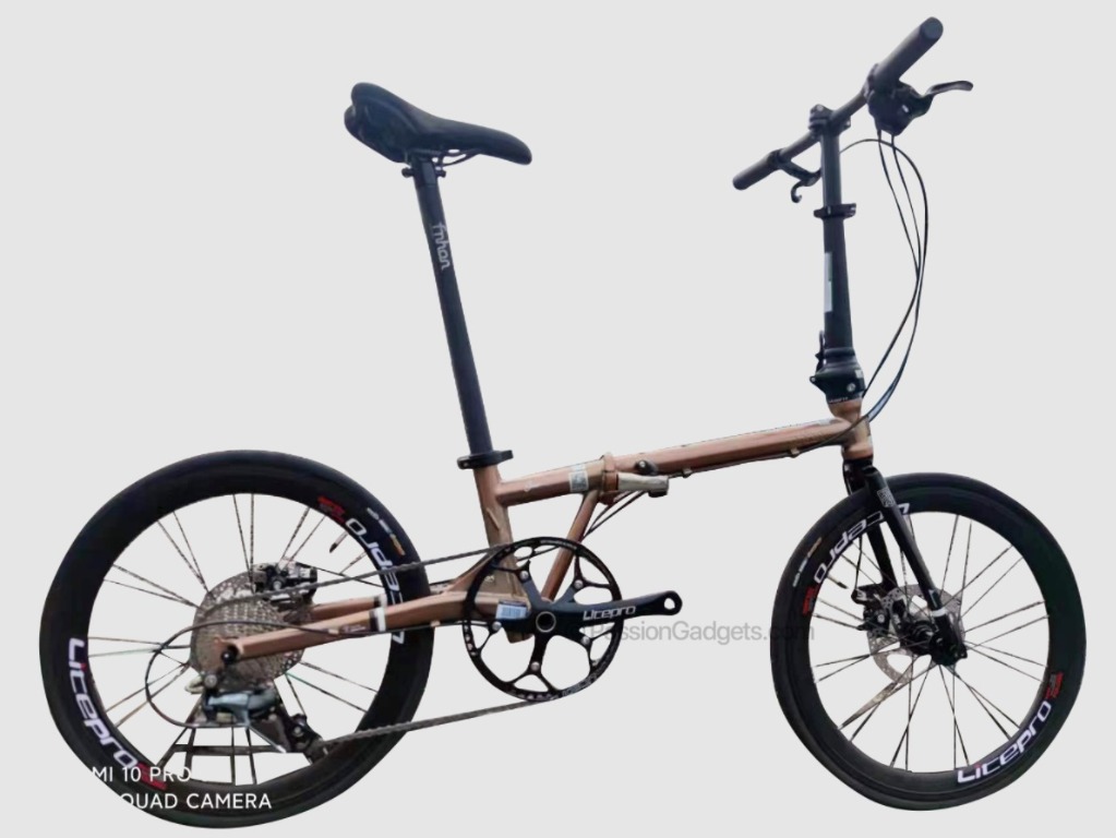 Latest 20inch Disc Brake + Hydraulic Brake Rose Gold Fnhon Gust 20 inch