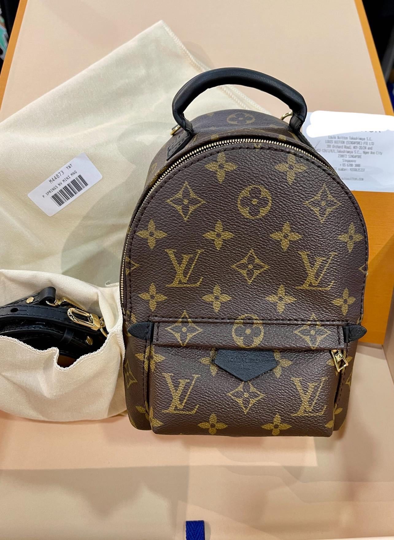 Louis vuitton backpack pm limited edition, Women's Fashion, Bags & Wallets,  Backpacks on Carousell