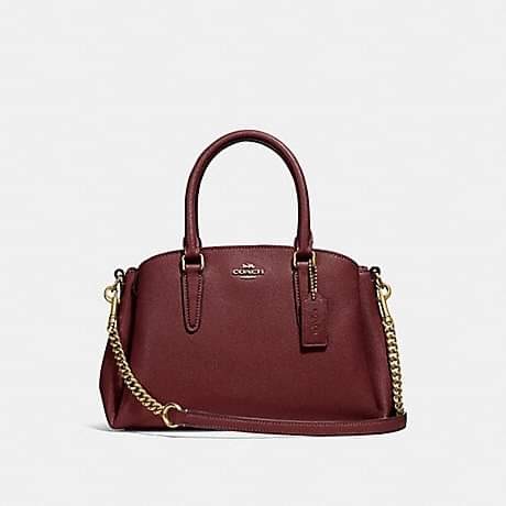 Mini sage carryall clearance coach