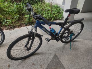 Aleoca clearance bicycle giant