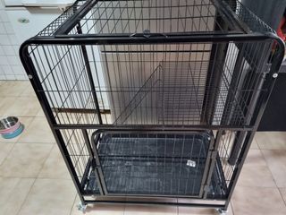(Category: ) located in . Submitted by dot74 (Listing ID 1143123499, Image 1). Description: .