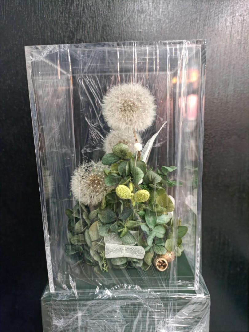 Preserve Dandelion, Hobbies & Toys, Stationery & Craft, Flowers & Bouquets on Carousell