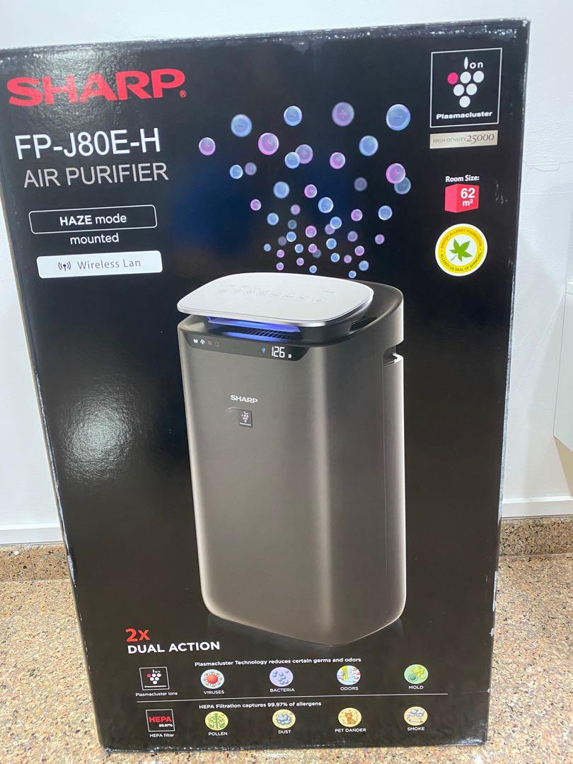 dyson have hepa filter
