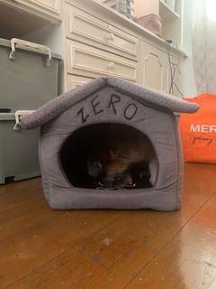 (Category: ) located in . Submitted by lisa.ono (Listing ID 1143234587, Image 1). Description: .