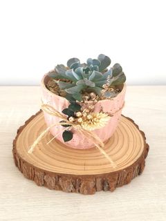 (Category: ) located in . Submitted by tinygreenthumb (Listing ID 1143169171, Image 1). Description: .