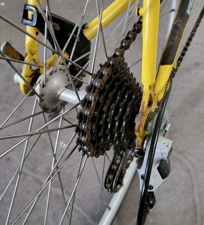 Wheeler 3100 racing outlet bike