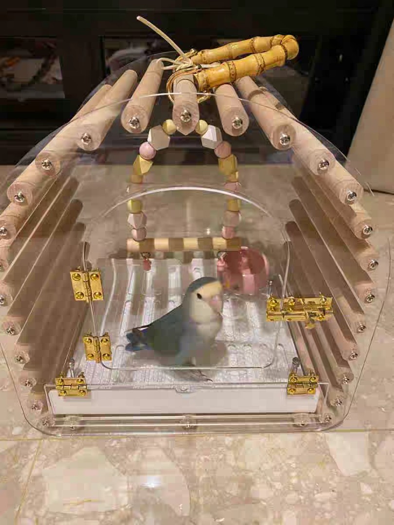 Acrylic travel bird on sale cage