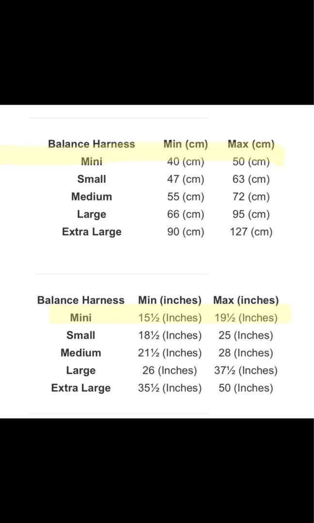 BN BlackDog Balance Training Pack (Blue Color) No Pull Harness, Pet