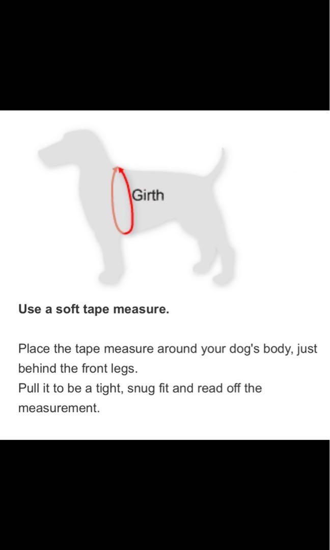 BN BlackDog Balance Training Pack (Blue Color) No Pull Harness, Pet