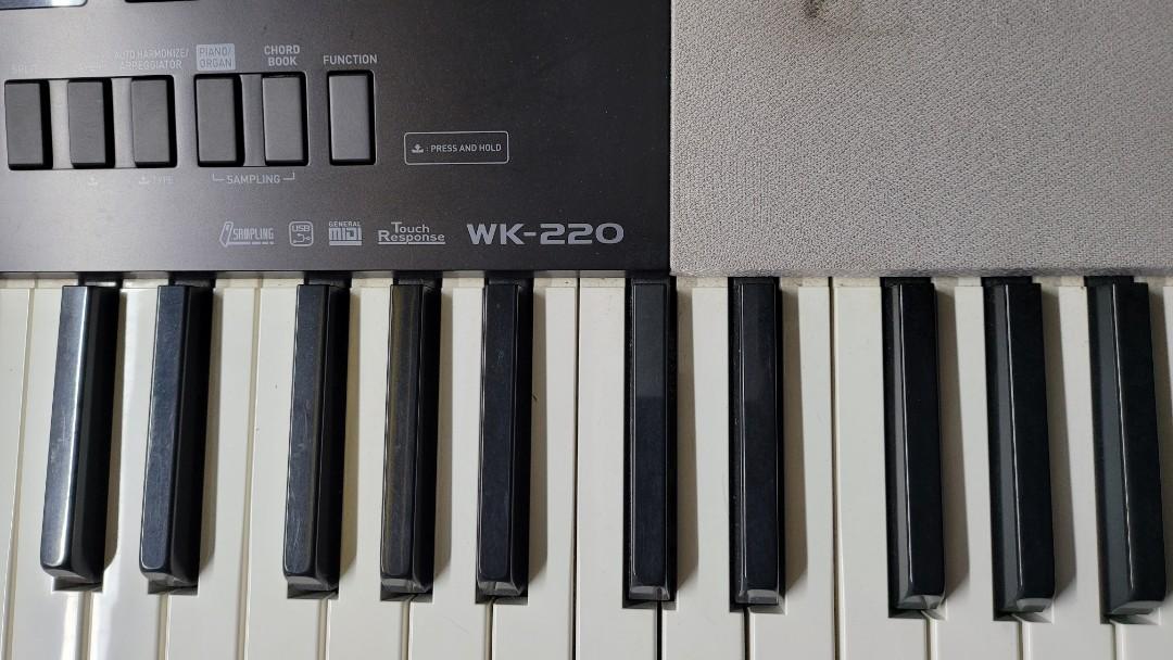 Casio WK 220. Used but still works and sounds great. Hobbies